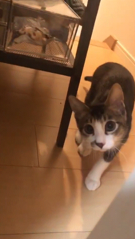 圖片2 圖片2
