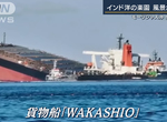 《日本貨輪模里西斯觸礁事件》為了無線網路接近陸地釀禍？跟群聚便利商店的國中生沒兩樣