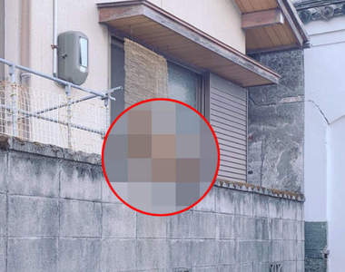 快看那裏有隻貓《動物版威利在哪裡》抱歉!看錯了原來那是一隻...