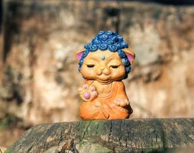 佛系轉彈《貓貓如來》又莊嚴又好笑，這樣的療癒小物超棒的