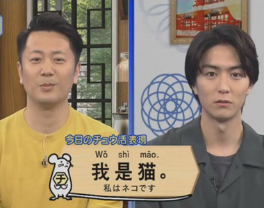 《NHK看電視學中文》練習我是貓的情況應該怎麼說 日本網友吐槽這個例句一輩子用不到