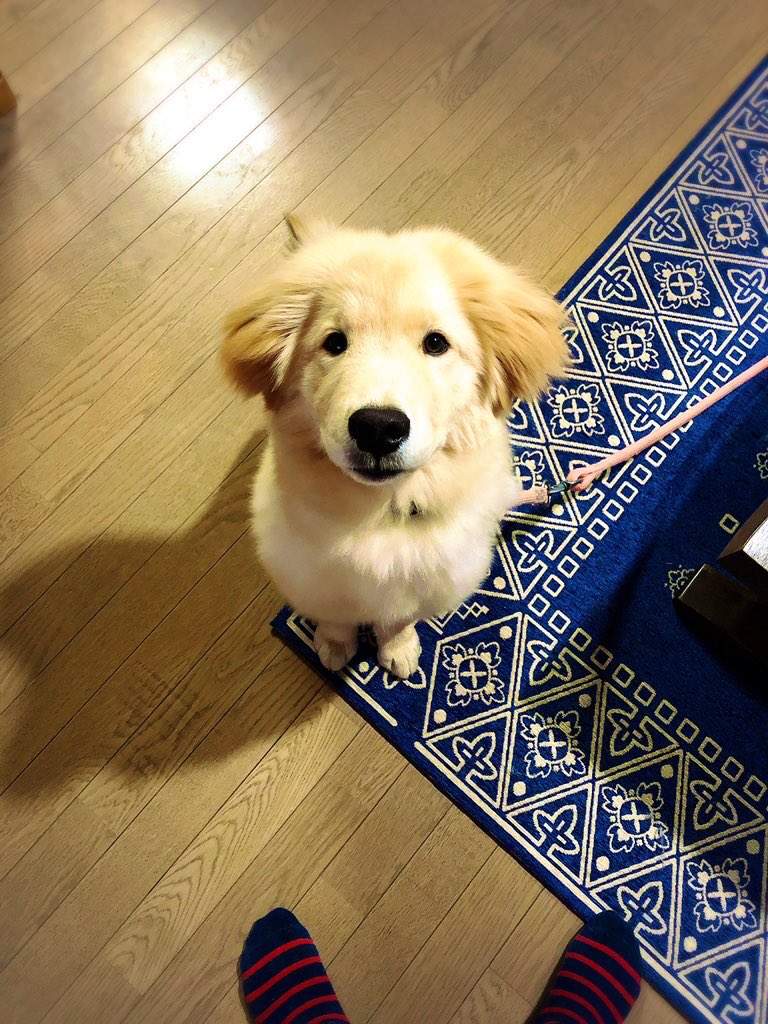圖片2 圖片2