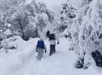 【有片】日本降大雪《最艱辛的上學路》每走一步只更想放棄的孩子背影引發瘋傳 【有片】日本降大雪《最艱辛的上學路》每走一步只更想放棄的孩子背影引發瘋傳