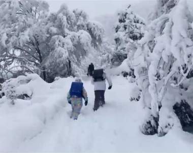 【有片】日本降大雪《最艱辛的上學路》每走一步只更想放棄的孩子背影引發瘋傳