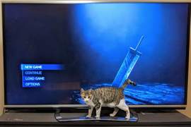 最終幻想7重製版《我家的貓被破壞劍插惹》網友有趣的心得PO圖分享
