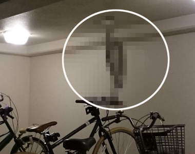 《停車場珍奇事件簿》腳踏車上停著一隻鳥,但這大小跟我想的不一樣啊...