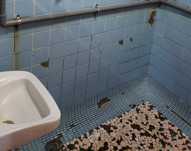 《懷舊的一條溝廁所》大叔才會看過的古老設計?其實世上很多地方依然健在……