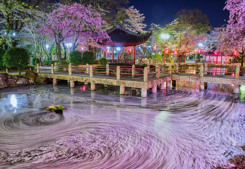圖片17 花季尾聲絕景《櫻花海》散落水面的櫻花花瓣彷彿粉紅絨毯鋪滿河川... | 宅宅新聞