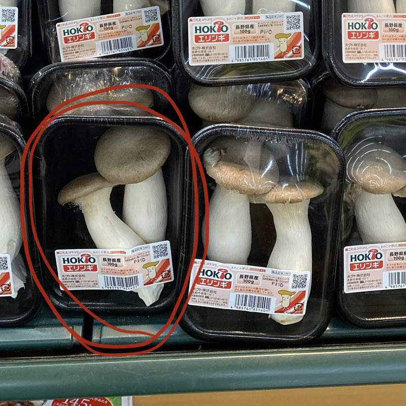 圖片6 感情越好越美味?《杏鮑菇的挑選標準》看到大家這麼相親相愛,然後就不忍心吃惹ww | 宅宅新聞