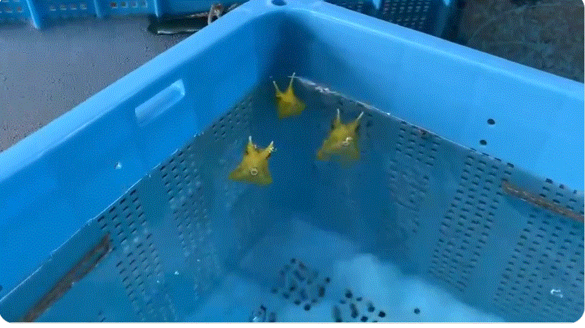 圖片2 圖片2