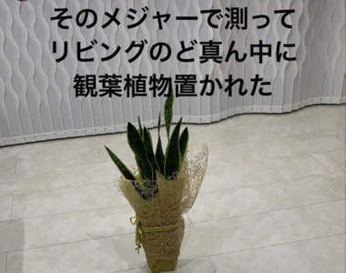 《媳婦抱怨婆婆的舒壓限動》連人家家裡風水都要干涉的強勢婆婆引發推特話題
