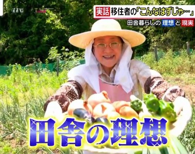 《移居鄉下的理想與現實》5人家庭遠離東京塵囂 享受自然慢活的代價是面對恐怖蟲害