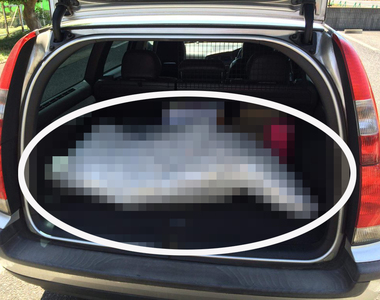 長相問題？《搬個消音器卻被報警》打開後車廂秒懂鄰居叫警察的原因www