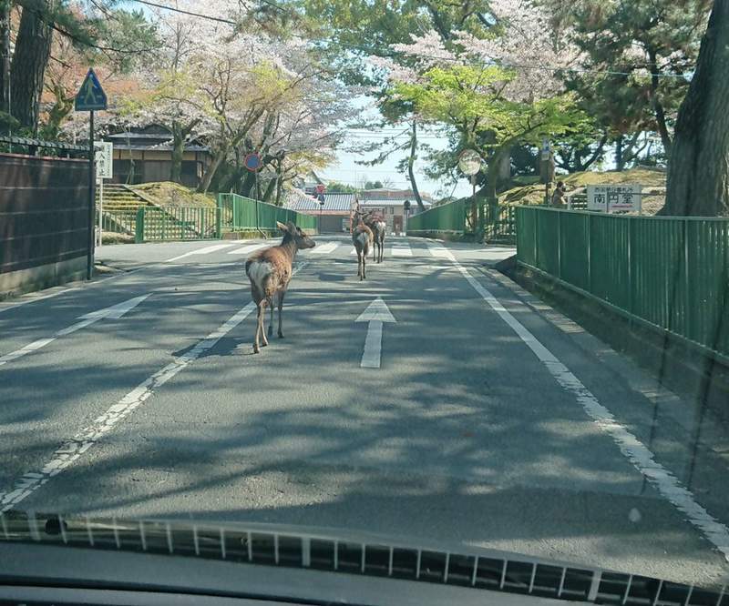 圖片3 圖片3