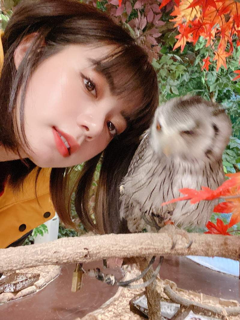 圖片3 圖片3