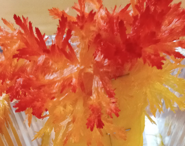 天才發想《尿素結晶做出煉獄杏壽郎的頭髮》小2生自創的實驗主題讓大人都甘拜下風