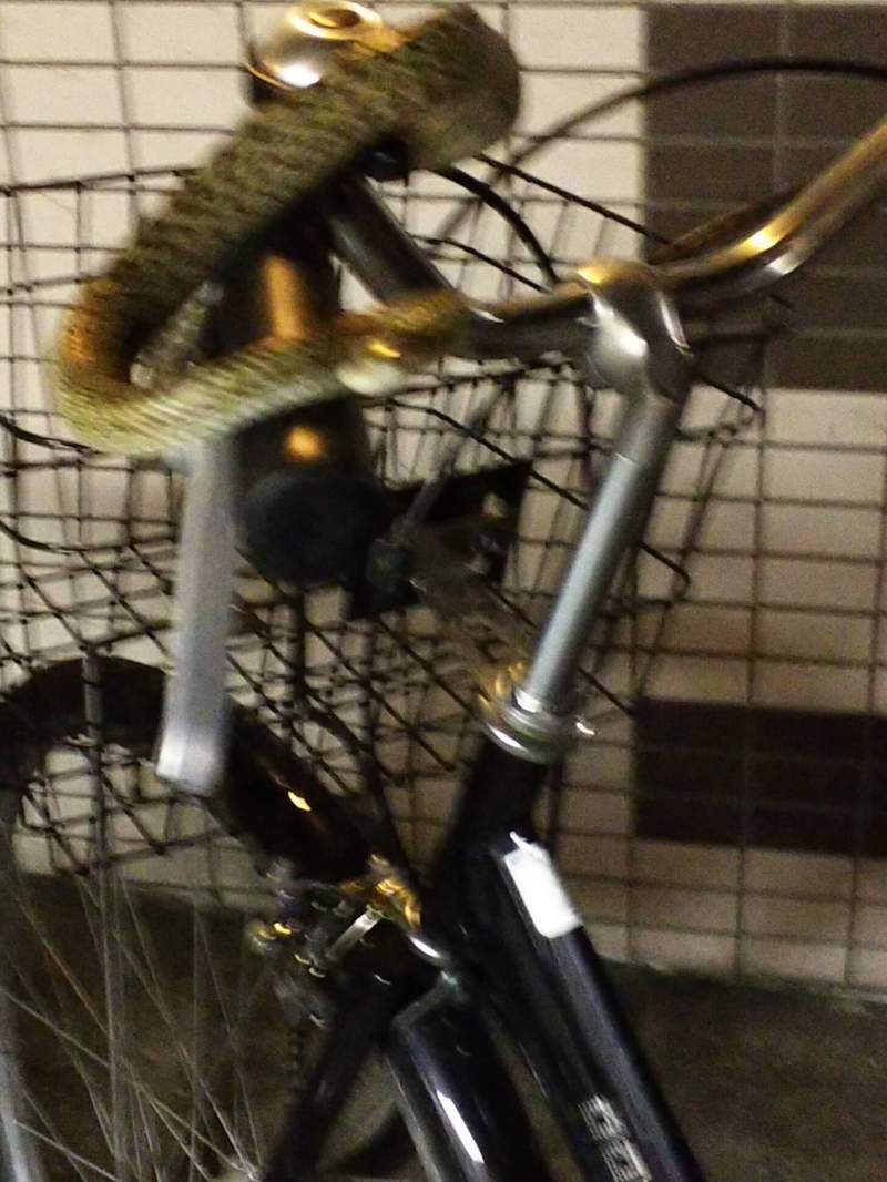 圖片7 我想回家《被鳥佔領的腳踏車》不走開就是不走開,遇到這種惡霸該如何是好... | 宅宅新聞