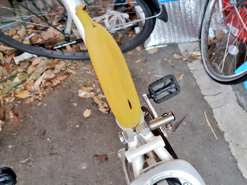 圖片11 我想回家《被鳥佔領的腳踏車》不走開就是不走開,遇到這種惡霸該如何是好... | 宅宅新聞