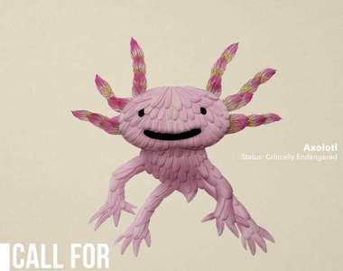 從花道獲得啟發的《花瓣植物藝術家》把凋零轉化成另一種漂亮的生命