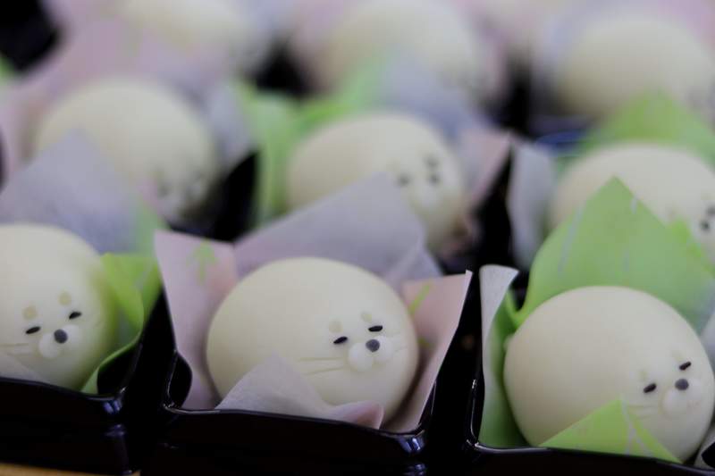 圖片6 《可愛到捨不得吃的和菓子》應客人要求製作的海豹和菓子,圓滾滾的可愛身形引發話題❤ | 宅宅新聞