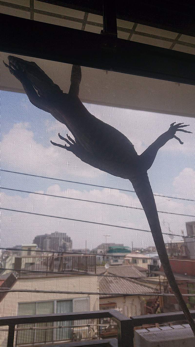 圖片2 圖片2