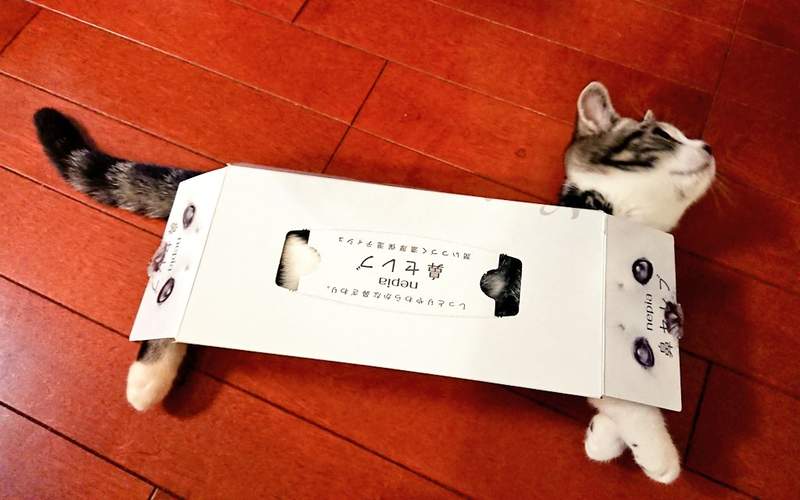 圖片2 圖片2