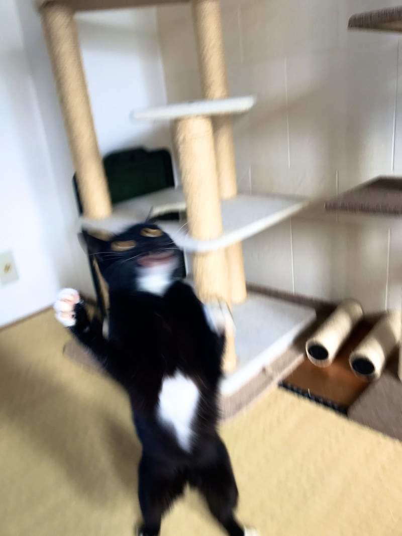 圖片3 圖片3