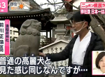 《日本神社最多的縣》穀倉地帶新潟為什麼神社特別多?流傳下來的奇妙習俗同樣也很多 《日本神社最多的縣》穀倉地帶新潟為什麼神社特別多?流傳下來的奇妙習俗同樣也很多