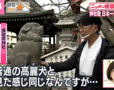 《日本神社最多的縣》穀倉地帶新潟為什麼神社特別多?流傳下來的奇妙習俗同樣也很多