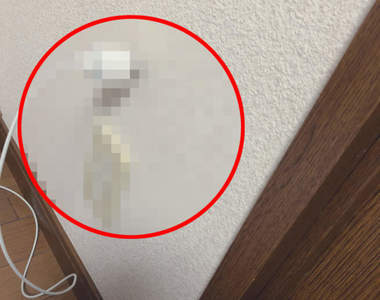 《個人史上最誇張的醉後蠢事》一條充電線笑歪60萬網友,到底是什麼怪力才可能辦到ww