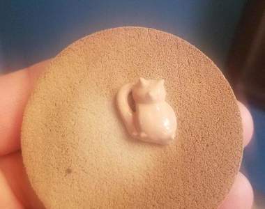 《心理有貓看什麼都是貓》貓存在於世界上各個角落的證據