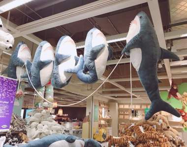 LINE網友曬《我的舒壓抱枕》「抱枕」兩個字的定義不只有塞了棉花的那種...