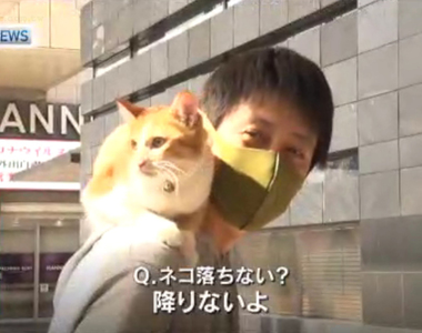 《在肩膀上不下來的貓》新聞報導肺炎停業的慘況 帶貓散步的路人吸走所有目光