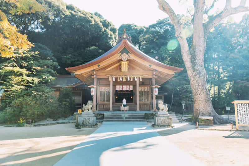 福岡太宰府竈門神社 與主角同姓受封鬼滅之刃聖地成為粉絲心靈寄託痛繪馬爆增