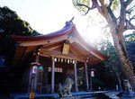 《福岡太宰府竈門神社》與主角同姓受封鬼滅之刃聖地 成為粉絲心靈寄託痛繪馬爆增 《福岡太宰府竈門神社》與主角同姓受封鬼滅之刃聖地 成為粉絲心靈寄託痛繪馬爆增