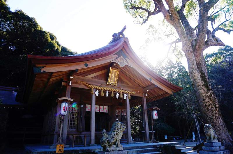 福岡太宰府竈門神社 與主角同姓受封鬼滅之刃聖地成為粉絲心靈寄託痛繪馬爆增