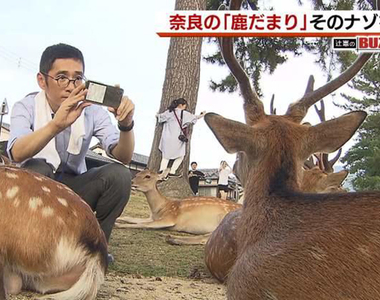 《奈良觀光地圖騙很大》搭鐵路可以玩遍整個奈良縣？網友吐槽害觀光客誤會怎麼辦……