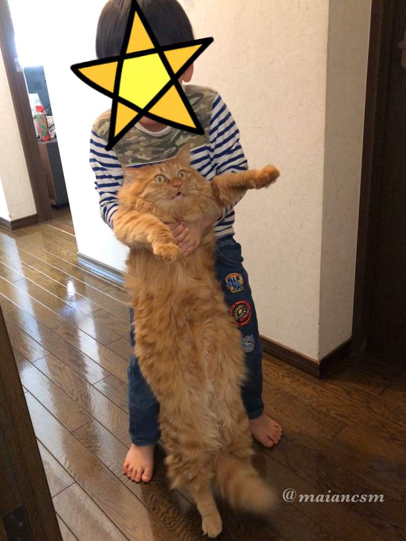 圖片2 圖片2