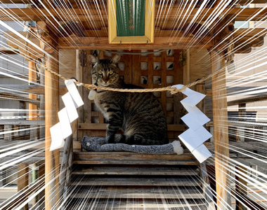 《神社參拜驚見貓神顯靈》請保佑我今年有很多貓可以吸，被很多肉球踩（？）