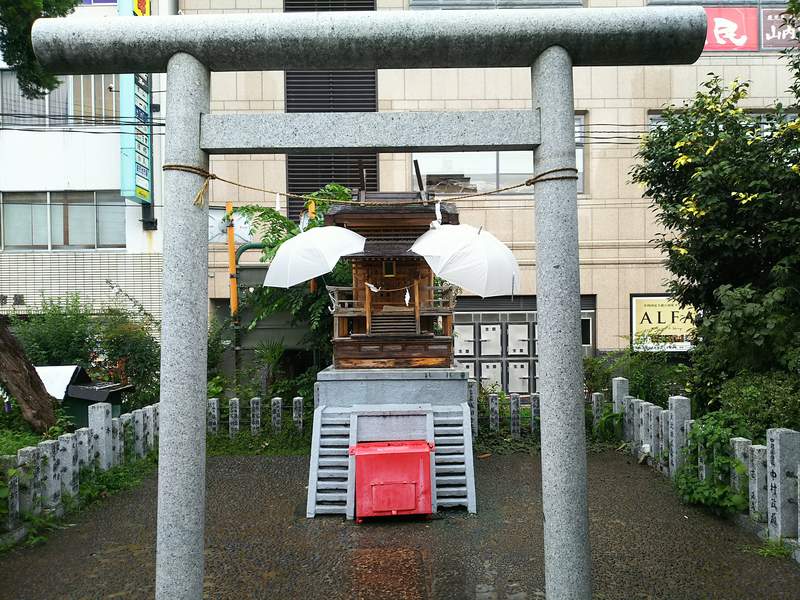 神社參拜驚見貓神顯靈 請保佑我今年有很多貓可以吸 被很多肉球踩