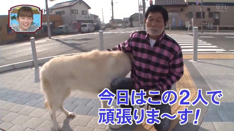 明石家秋刀魚與宅宅互動 探訪少女與戰車聖地大洗町帶過動畫話題又不傷人被讚太神了