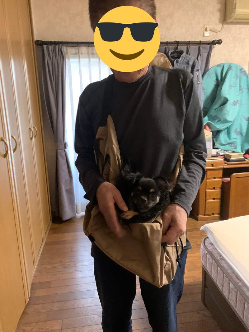 圖片11 《自從養了柴犬我爸變這樣》短短三天老爸就被完全收服的模樣,原來是不少飼主的共同經歷ww | 宅宅新聞