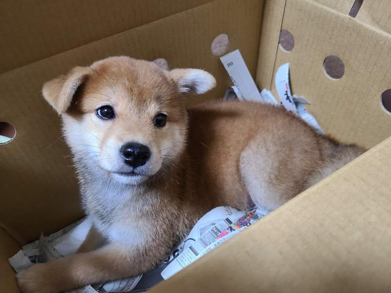 圖片2 圖片2