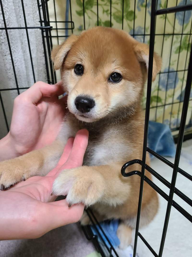 圖片3 圖片3