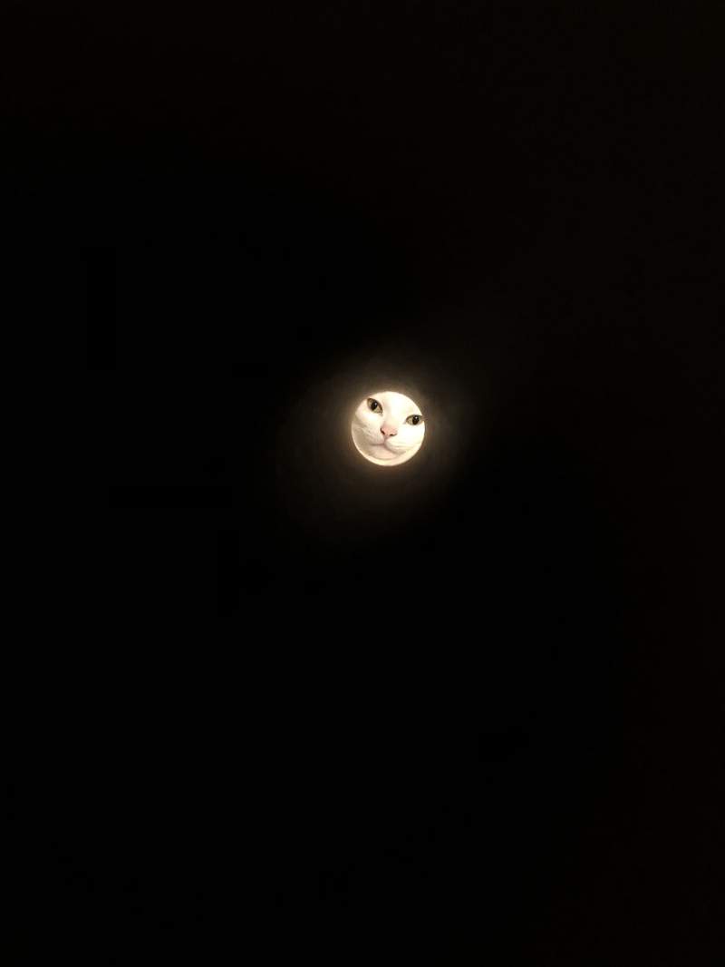 圖片2 圖片2