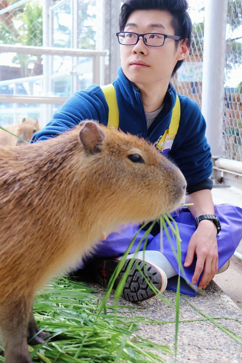 圖片9 《水族館型男》肺炎疫情下休園中的水族館,不推動物開始改推園內飼育員...ww | 宅宅新聞