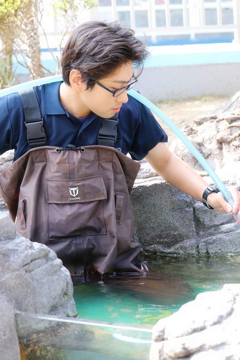 圖片10 《水族館型男》肺炎疫情下休園中的水族館,不推動物開始改推園內飼育員...ww | 宅宅新聞