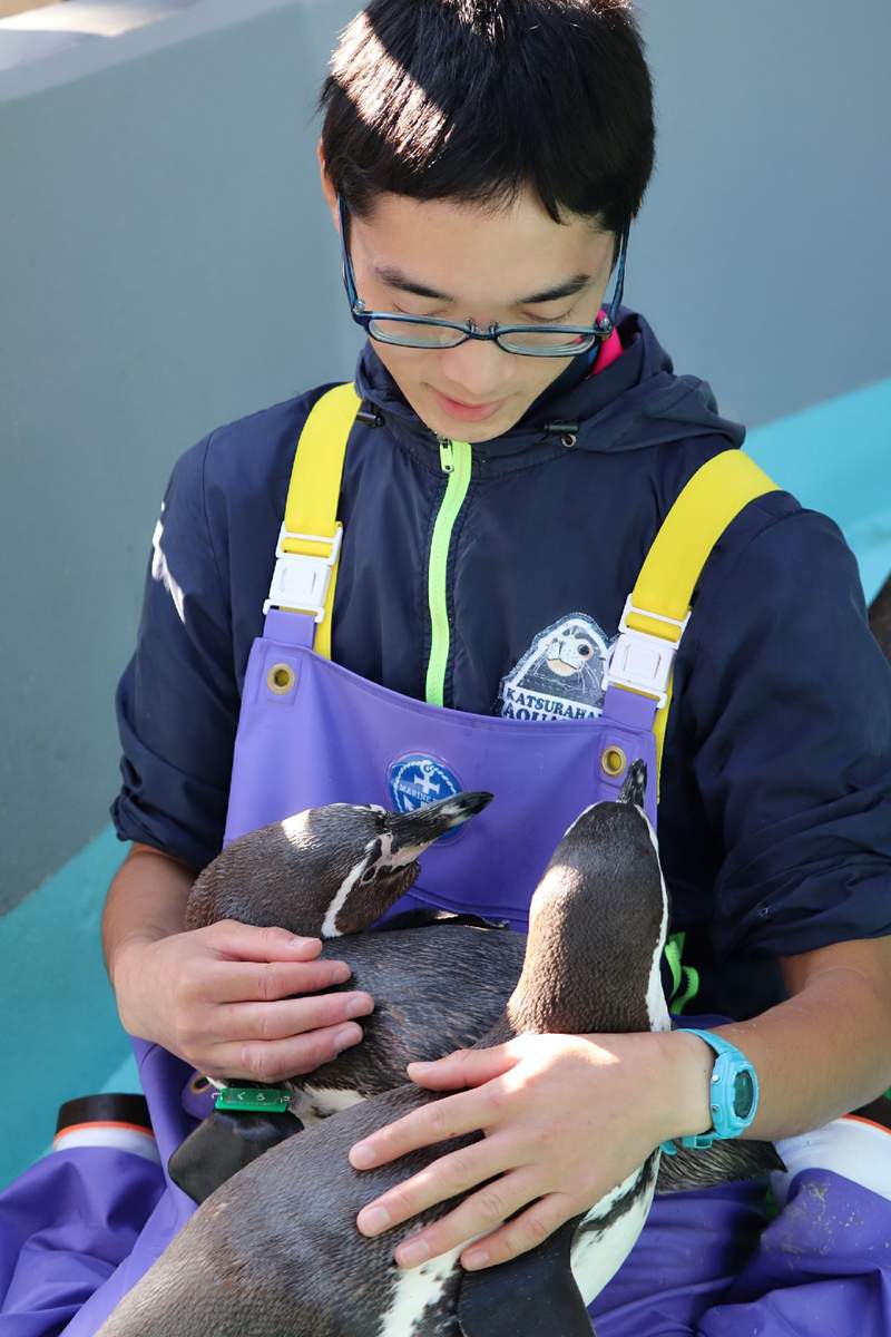 圖片11 《水族館型男》肺炎疫情下休園中的水族館,不推動物開始改推園內飼育員...ww | 宅宅新聞