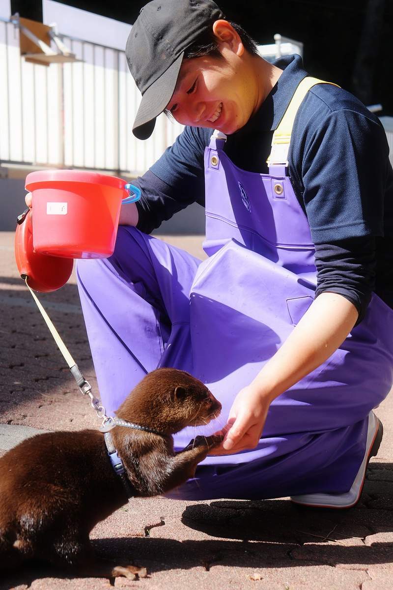 圖片12 《水族館型男》肺炎疫情下休園中的水族館,不推動物開始改推園內飼育員...ww | 宅宅新聞
