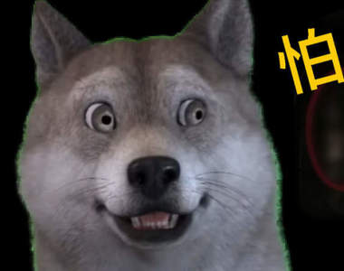 【慎入】閱覽注意《動物版靈異照片》其實照片超可愛的大家不用緊張